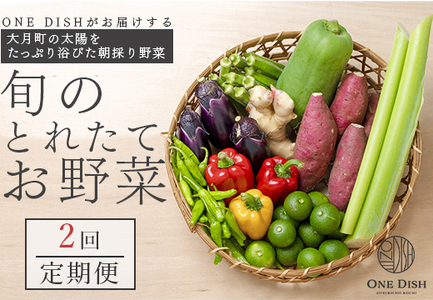 大月町産 旬のとれたてお野菜定期便