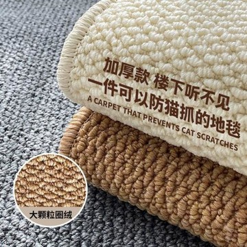 跨境新款仿劍麻防滑大地毯家用入戶防貓抓地墊加厚靜音耐磨門墊
