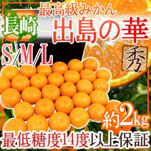 長崎産 ”出島の華” 秀品 S M Lサイズ 約2kg 化粧箱 味まる・味っ子の最上位等級 送料無料