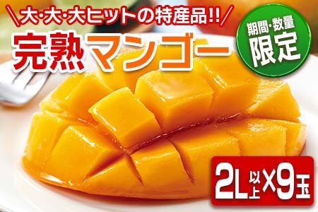 ≪数量限定≫日南市産完熟マンゴー(2L以上×9玉) フルーツ 果物 国産 令和6年発送分_HH1-23