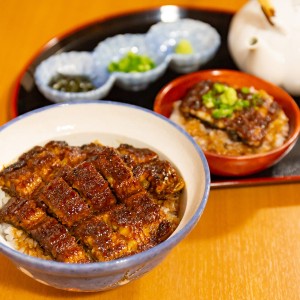 うなぎまぶし 約2人前 自宅用 うなぎ蒲焼 国産 鰻 ひつまぶし 海鮮 惣菜 蒲焼