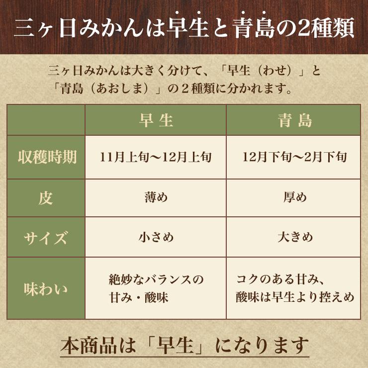 三ヶ日 早生 みかん5kg どうまいらぁ！ 小粒 3S 2S サイズ混合 みかん 送料無料 三ヶ日みかん みかん 産地直送 ミカン 蜜柑 5キロ 美味しい ギフト プレゼント