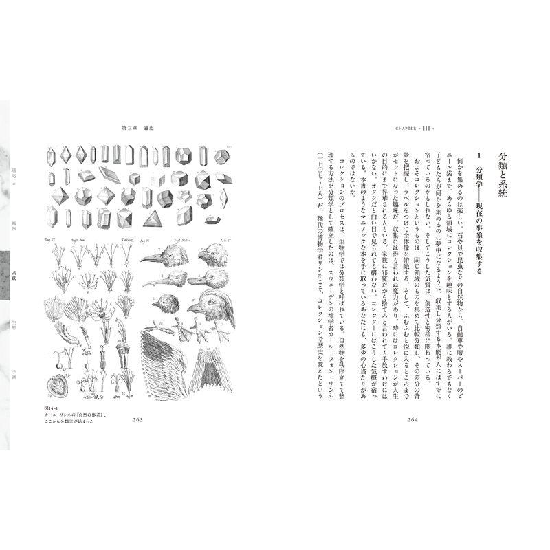 進化思考 生き残るコンセプトをつくる 変異と適応