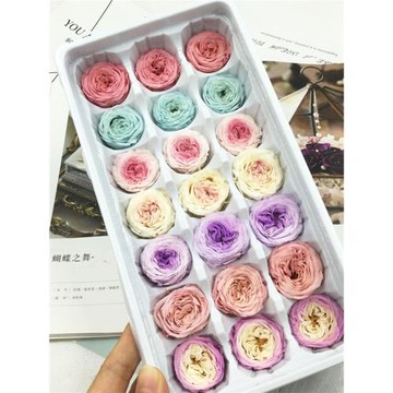 花掌柜永生花A級2-3-4cm奧斯汀玫瑰diy材料包玻璃罩禮盒車掛鑰匙