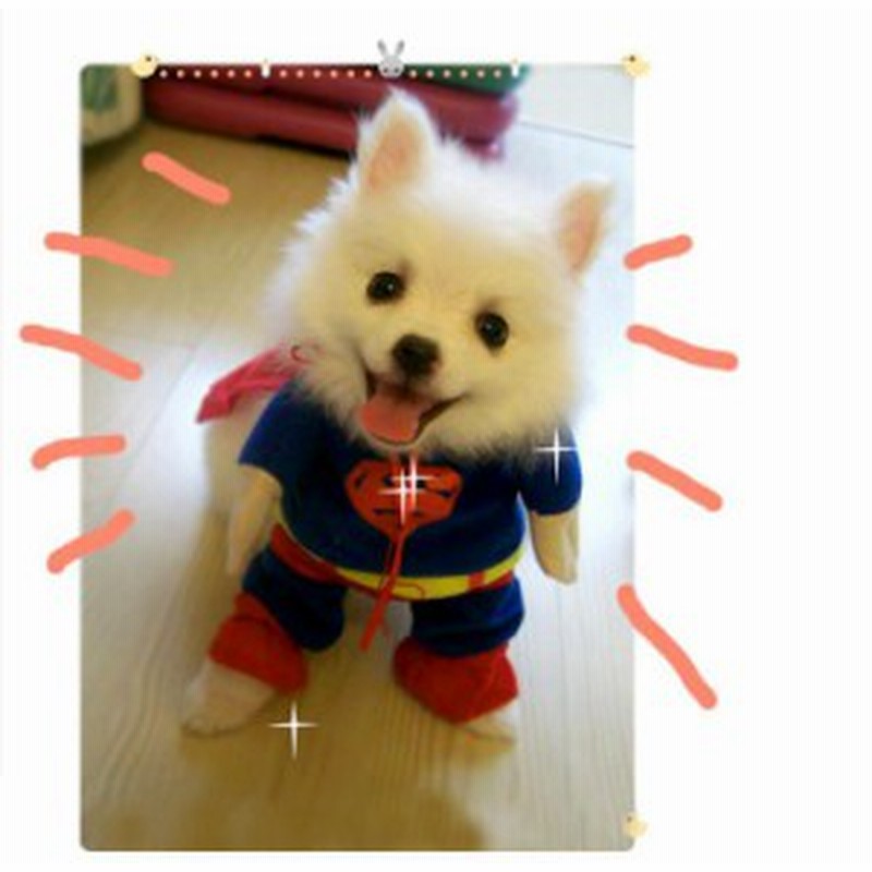 ドッグウェア スーパーマン 犬服のトレーナー 二足歩行 コスプレ 散歩はド派手に目立っちゃおう ハロウィン 仮装 チワワ ダックス トイ 通販 Lineポイント最大1 0 Get Lineショッピング