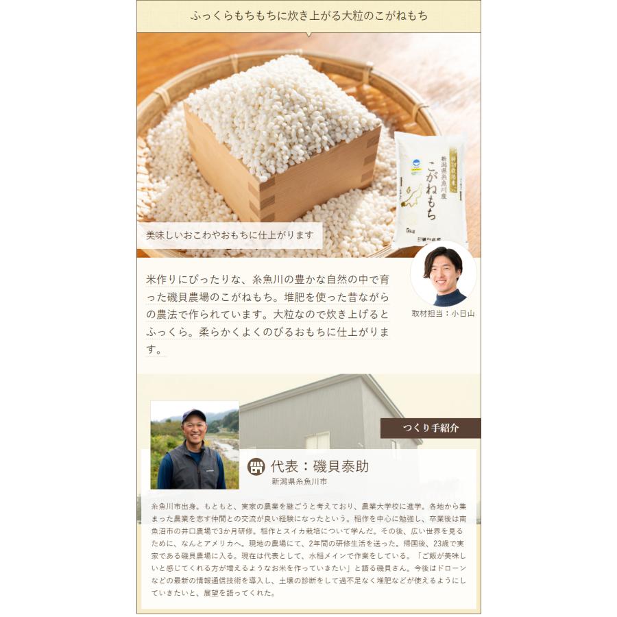 特別栽培米（減農薬・減化学肥料）新潟産こがねもち 精米3kg 磯貝農場 料無料