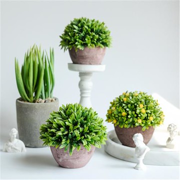 仿真綠植盆景植物花球水泥盆擺飾