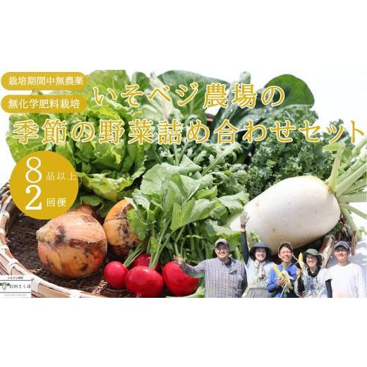 ふるさと納税 長野県 佐久穂町 いそベジ農場の季節の野菜詰め合わせセット　定期便　２回便〔IV-02〕