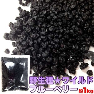 ドライ ワイルド ブルーベリー 大容量 １ｋｇ 野生種 販売元より直送 SM00010048