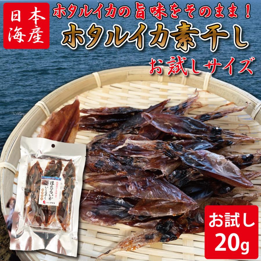 ホタルイカ 素干し (20g) お試しサイズ おつまみ ほたるいか 干物 珍味  晩酌 ギフト 日本海産 無添加食品 美味しい お試し 美味しい 産地 ビール 父の日 海鮮