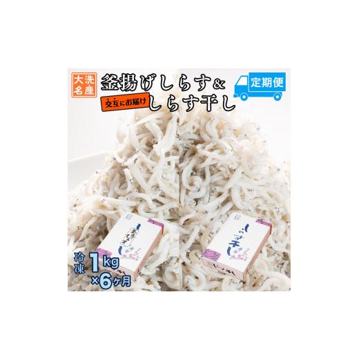 ふるさと納税 茨城県 大洗町 釜揚げしらす しらす干し 交互 定期便 (1kg×6か月) 天然 ふっくら 大洗 名産 しらす シラス 魚 さかな 魚介 離乳食