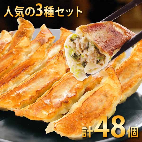 宇都宮餃子館】宇都宮餃子人気3種セット（健太餃子・お肉餃子・しそ餃子）計48個　【サクワ】【直送】　（K7939）　LINEショッピング