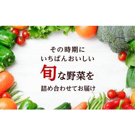 ふるさと納税 「ベジーズ館」の夏・冬野菜　年２回コース （7月と12月発送） 兵庫県相生市