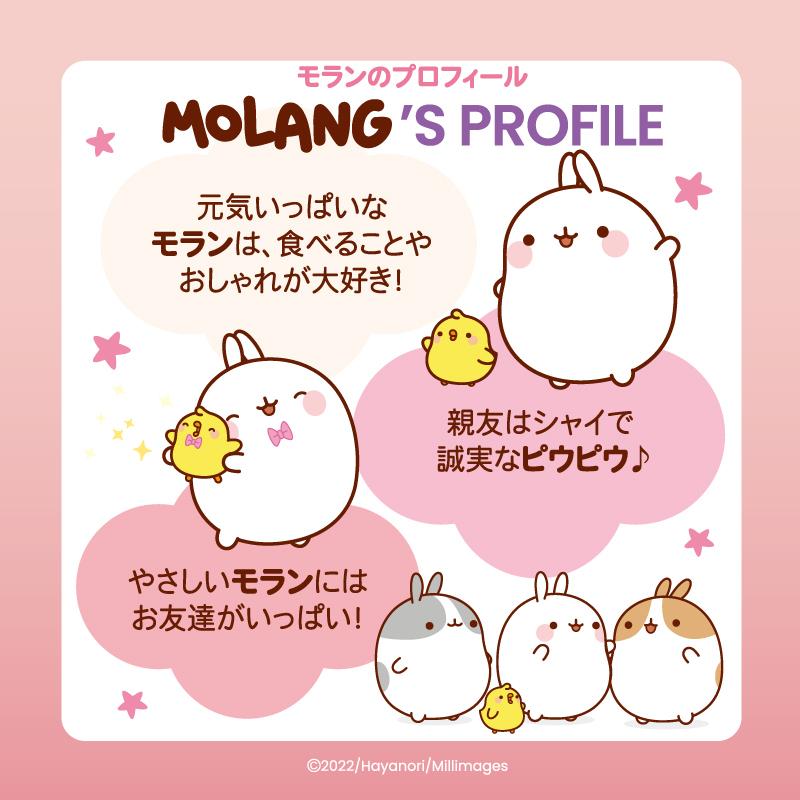 どこでもステッカー 4種セット MOLANG モラン 防水・UV加工 ネットショップセット ステッカー カー用品 防水加工 ＵＶ加工 メール便可