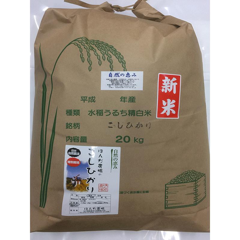 令和5年産 新米 自然農法特別栽培米こしひかり白米 20kg 「自然の恵み」  加賀百万石