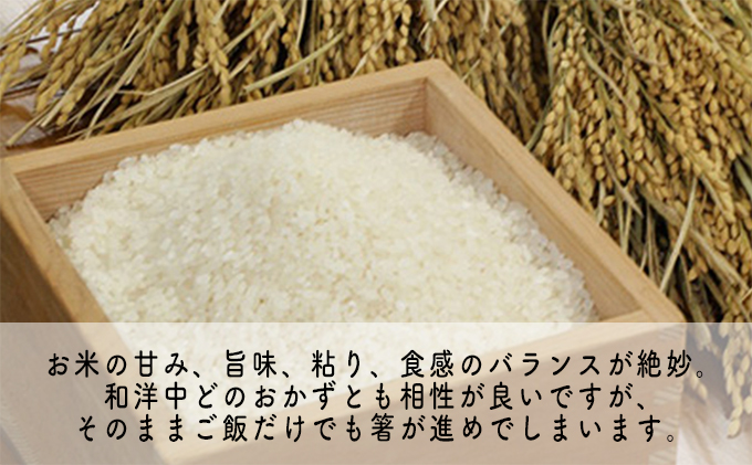 令和5年産福井県若狭町コシヒカリ（一等米）5kg（山心ファーム）