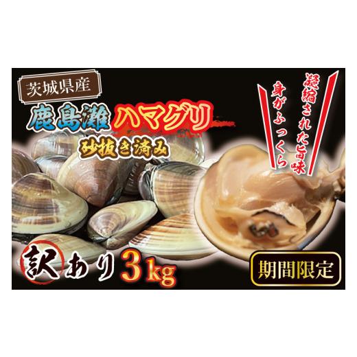 ふるさと納税 茨城県 大洗町  期間限定 鹿島灘 ハマグリ 訳あり 3kg 砂抜き済み はまぐり 蛤 わけあり 国産 天然 茨城県産 鹿島灘産 …