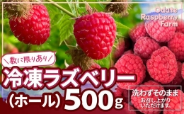 80P3404 冷凍ラズベリー（ホール）500g