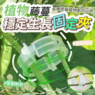 植物固定夾 蔬果固定器 枝條夾 藤蔓固定夾 園藝夾 園藝造景 快速卡扣 園藝用品 植物夾 菜園蔬菜種植 植物枝條固定