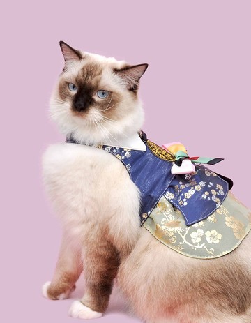 鶯囀 Among 胸背衣  (夏款棉布底布)