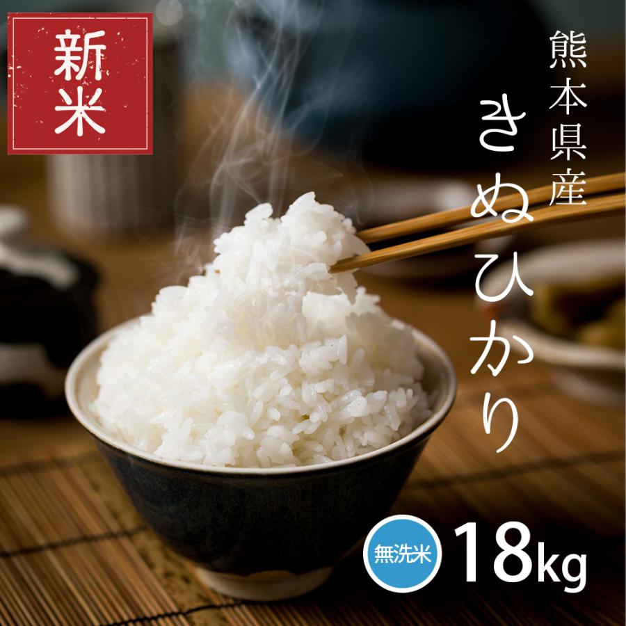 新米  米 お米 18kg キヌヒカリ 無洗米 熊本県産 令和5年産 20kg きぬひかり