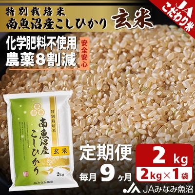 ふるさと納税 南魚沼市 特別栽培米南魚沼産こしひかり8割減 玄米 2kg全9回