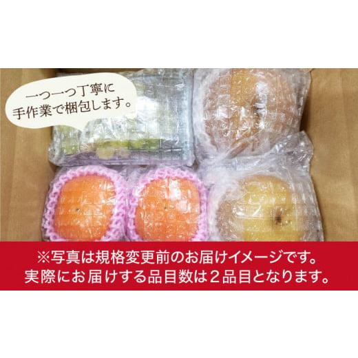 ふるさと納税 長崎県 長崎市 旬のフルーツ定期便食べ比べセット 季節により厳選した果物を2品目詰め合わせ＜ダイコー青果＞ [LHQ006]