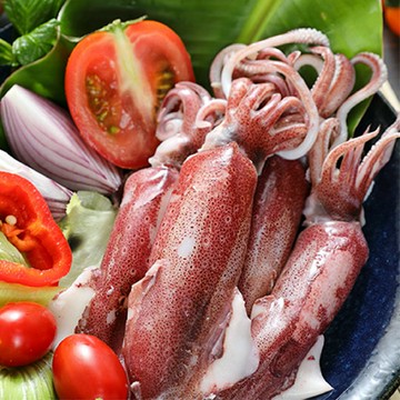 【東北海域 Q彈小卷3- 4尾】 新鮮船凍    富含維生素E/ 高蛋白、低脂肪 /  SGS檢驗合格 ►烤肉、健身/上班族推薦人氣單品 【觀大上鮮】週一到週五中午前下單 隔日到貨