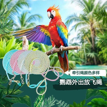 百貨研究所⚡️鸚鵡放飛繩不傷腳玄鳳虎皮小太陽外出鐳射伸縮牽引繩戶外遛鳥神器🎉