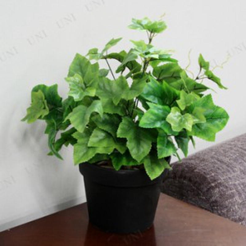 人工観葉植物 グレープリーブス 緑斑 45cm 観葉植物 小さい フェイクグリーン ミニ ミニサイズ ミニ観葉植物 果樹木 インテリアグリーン 通販 Lineポイント最大1 0 Get Lineショッピング