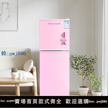 【可打統編 超低價】長城時尚小冰箱小型雙門網紅復古迷你出租屋一級能效家用電冰箱