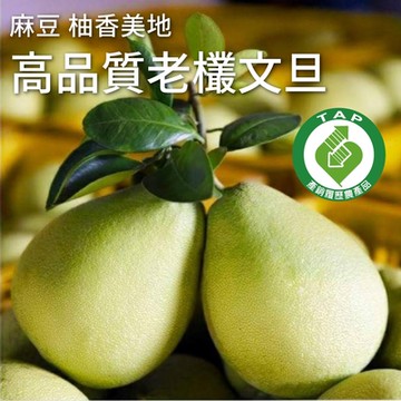 【十翼饌選果】柚香美地 麻豆文旦柚10台斤/箱x1(老欉文旦/產銷履歷/產地直送)