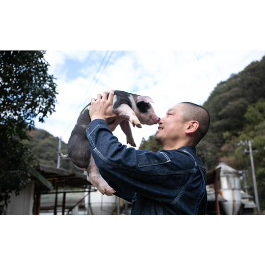 ふるさと納税 高知県 宿毛市 ケンボロー豚 色々お試し詰め合わせBセット 5kg