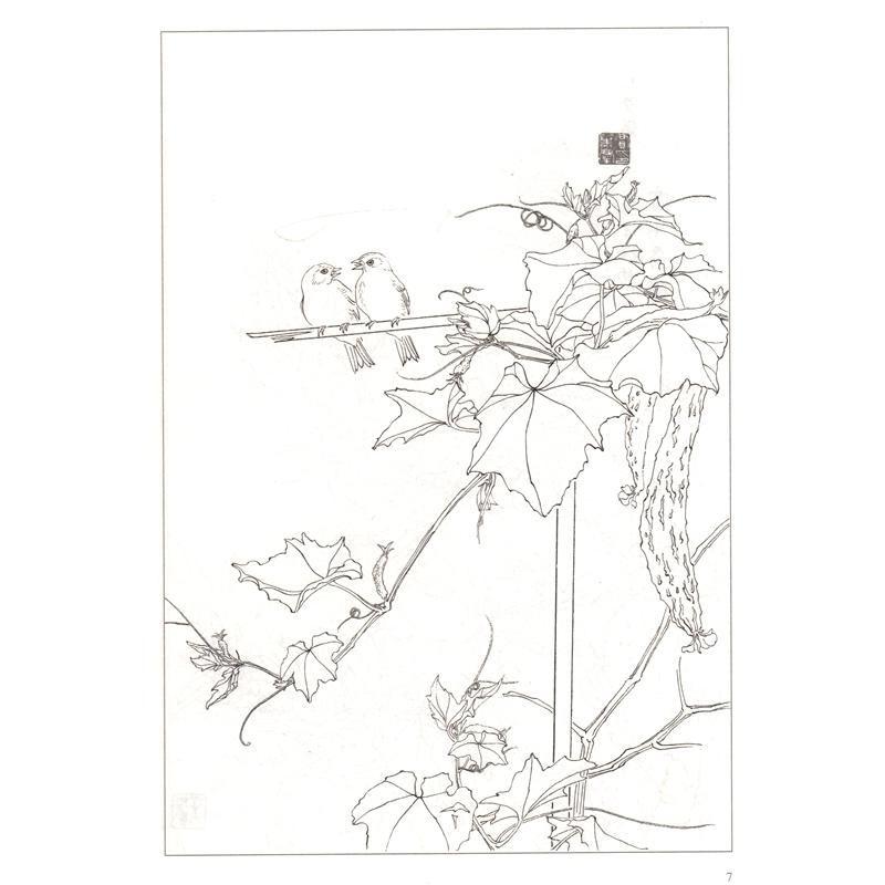 花鳥画譜　中国画線描　中国画譜　大人の塗り絵　中国絵画 花#40479;画#35889;　中国画#32447;描