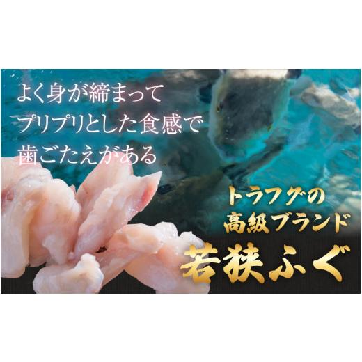 ふるさと納税 福井県 高浜町 若狭とらふぐ鍋セットB（3〜5人前）