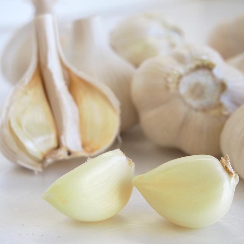 オーガニック青森県田子町産　有機にんにく　５００ｇニンニク・有機栽培・無農薬・無化学肥料・Organic・garlic