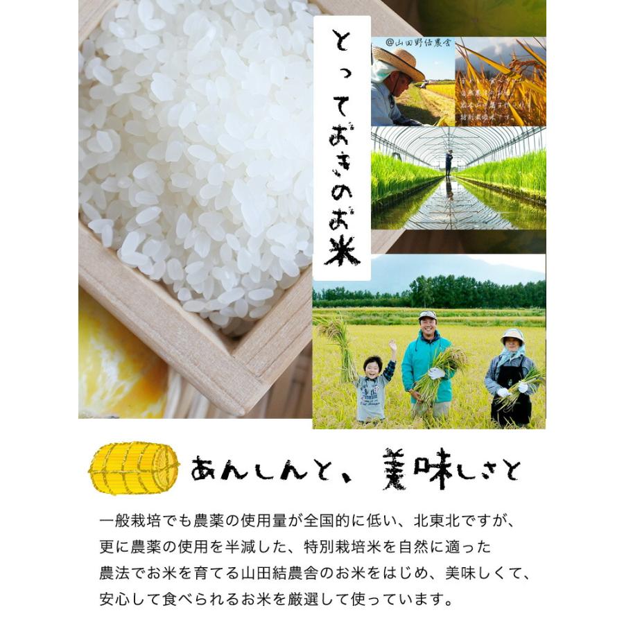 一升米 1歳 一歳 誕生日 お祝い 送料無料 名入れ 誕生日祝い 一升餅 小分け