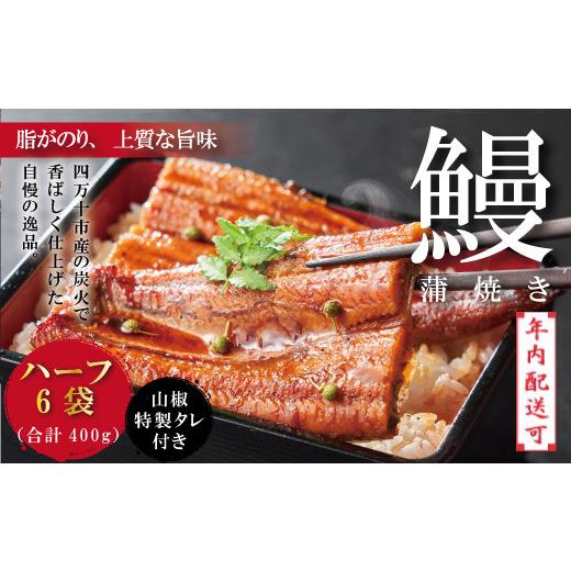 ふるさと納税 高知県 四万十市 R5-361N．＜四万十食品＞うなぎ蒲焼　ハーフ6袋／ＣＤ