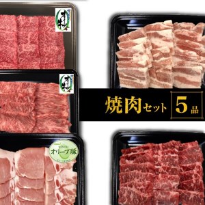 焼肉セット5品_M04-0112