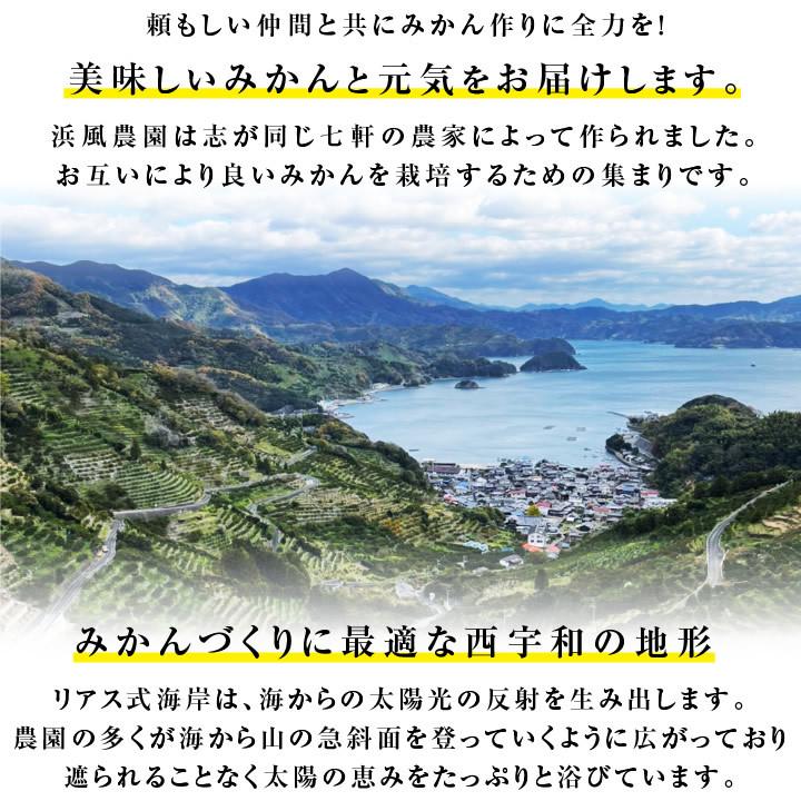 みかん 元気みかん 5kg 秀品 愛媛県産 S〜Lサイズ 浜風農園 数量限定 -S10J ミカン 小玉 大玉 甘い おいしい 旬の果物 産地直送 お歳暮 プレゼント 送料無料