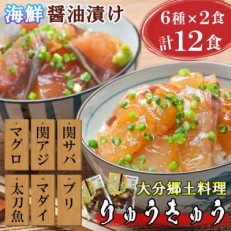 豊後絆屋　大分郷土料理りゅうきゅう漬けセット(6種×2食)