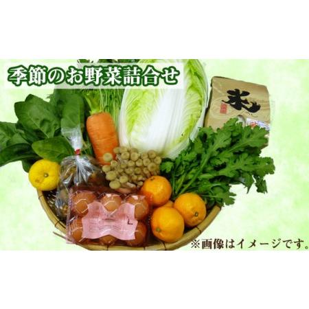 ふるさと納税 No.083 季節のお野菜詰め合わせ 大阪府河南町