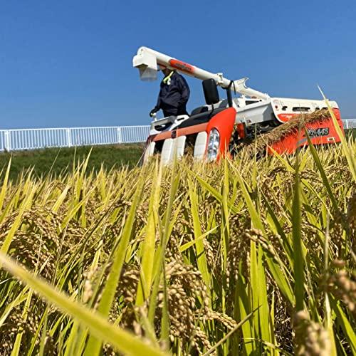 新米秋田県産 サキホコレ 300g(2合)×3袋 セット 令和5年産