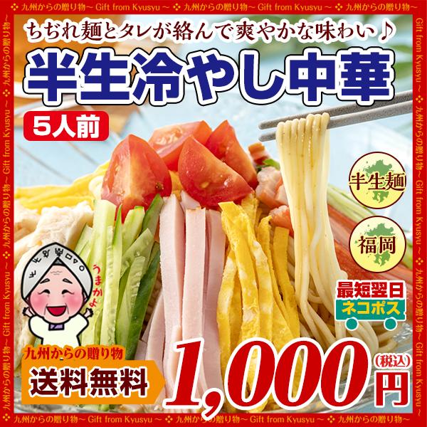 23年12月20日送料無料 冷やし中華5人前 半生ちぢれ麺 選べるスープ ごまダレ 醤油スープ さわやか グルメ お試し お取り寄せ 麺 本格