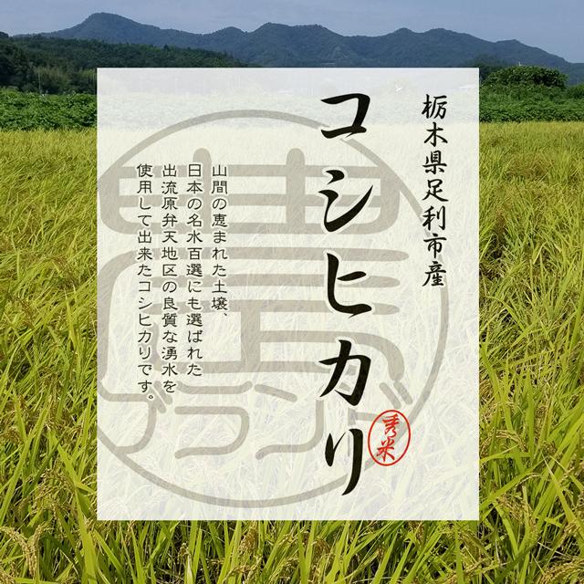 新米 コシヒカリ 10kg こしひかり 無洗米 白米 玄米 お米 米 送料無料 肥料農薬最小限 おこめ コメ 栃木県 産直 ふるさと 2023年産 お祝い 内祝 ギフト