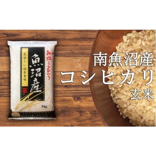 ふるさと納税 新潟県 南魚沼市 令和5年産 南魚沼産コシヒカリ玄米5kg