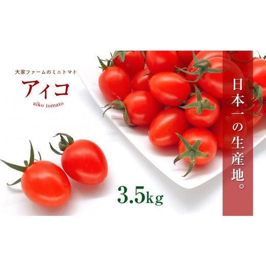 ふるさと納税 熊本県 玉名市 『大家ファーム』のミニトマト アイコ 3.5kg 熊本県玉名