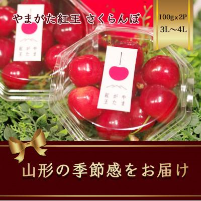 ふるさと納税 山形県 やまがた紅王 さくらんぼ 3L〜4L 100g×2パック入 