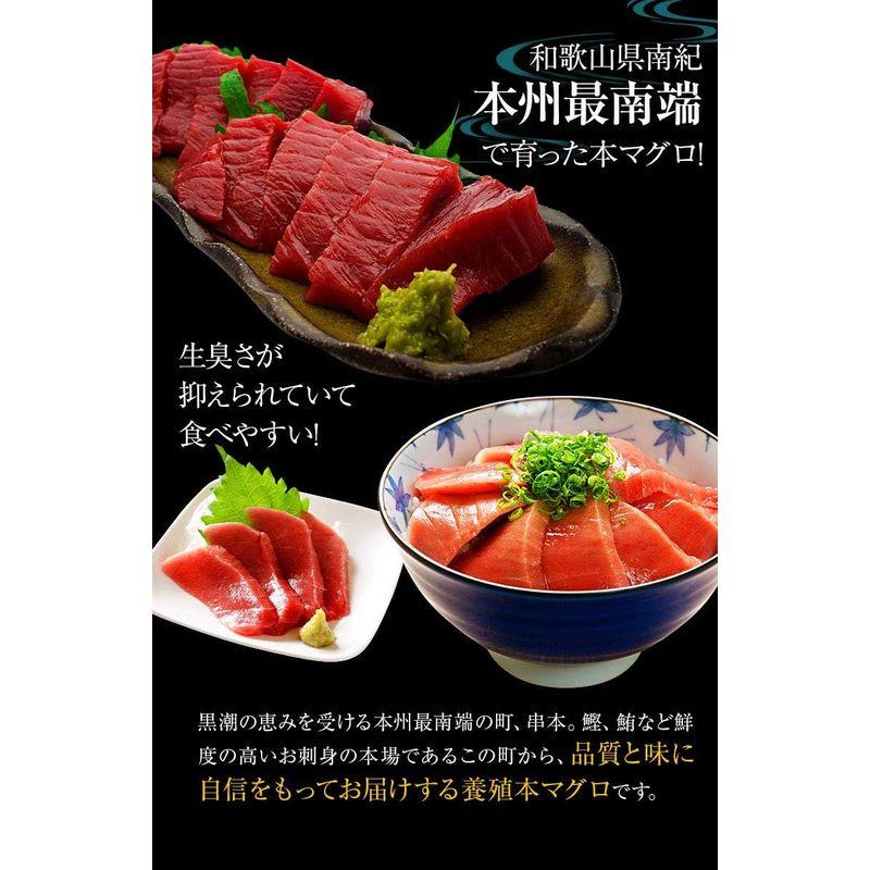 ふみこ農園 本マグロ マグロさしみ（トロ 赤身セット）500g 和歌山県 串本産 サク3?4個でお届け