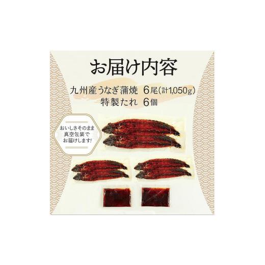 ふるさと納税 福岡県 大川市 国産うなぎ蒲焼 6尾 約1050g